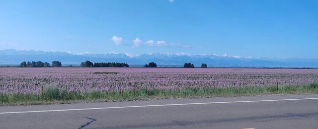 北疆行⑩——夏塔古道