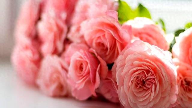 属猪要“笑醒”了	，12月22日星期一，你将会遇见你最大的1位贵人