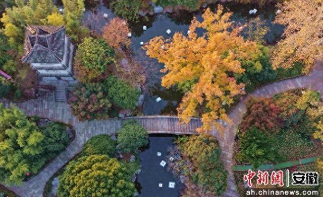 安徽颍上：“皖北豫园”绣画卷