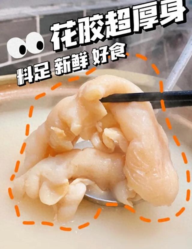 江门 买花胶 广东花胶