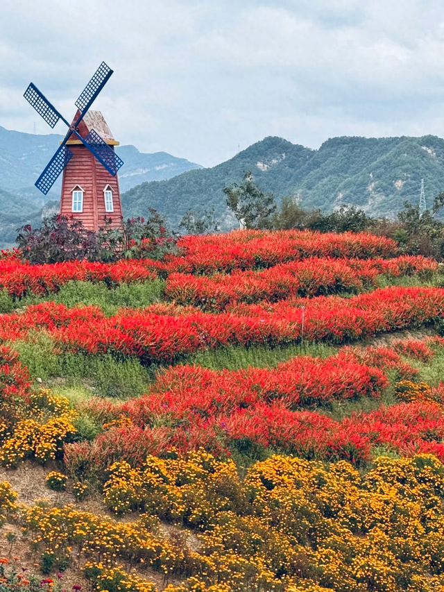我是北京人	，在兴隆待了三天，这小地方的好我得说道说道。