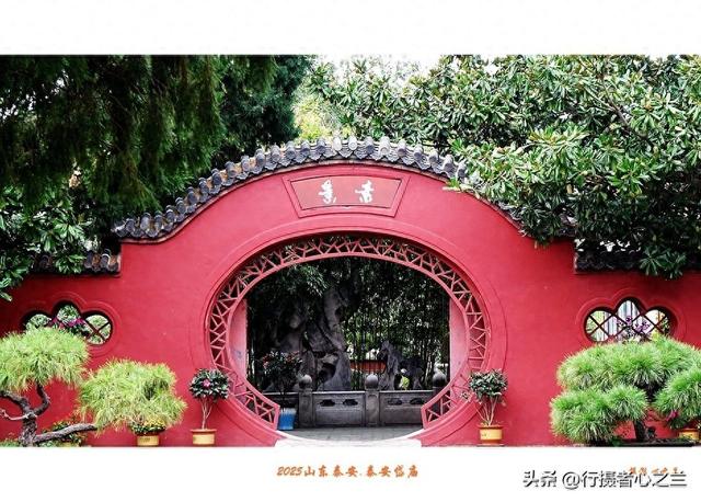 山东行游影记（322）—泰安岱庙（十八）