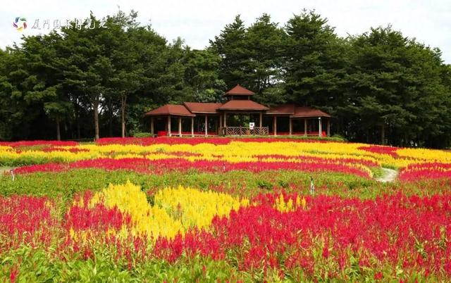 梦幻花海、丰收节、土楼晒秋！这些宝藏地美成壁纸→