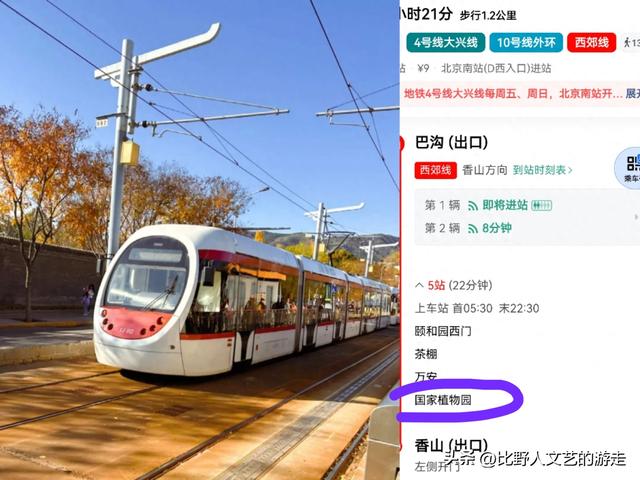 北京：焦糖色的秋日正当时，还有美味素食+直达专列，走啦！