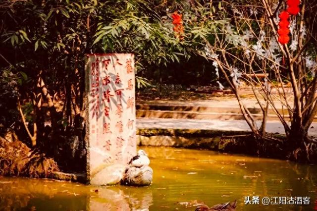 泸州古八景之一，为什么会有龙马潭？传说和历史在这里交织