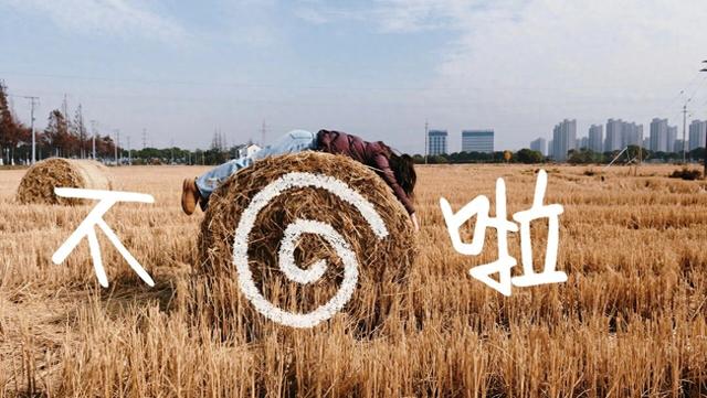 快来打卡！金山的“瑞士卷”火了