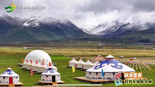 门源：金色花海“浪”出多彩经济 林海雪原“融”出富民新路