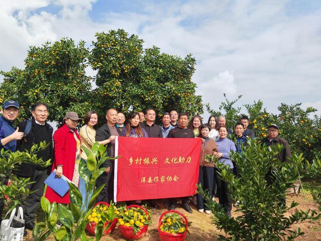 风栖陶岭橘满坡