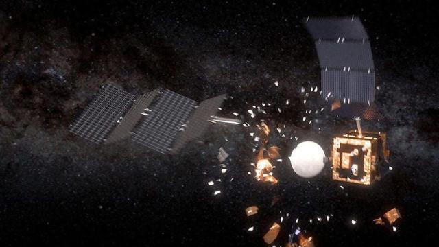 2025年即将结束，但10条不附和大众情感的科学“真理”依然成立