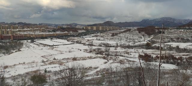 后半生在威海看够雪