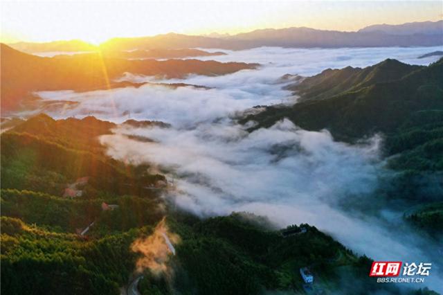 【每日一图@湖南】青娥山晨雾漫卷，定格天地间水墨丹青