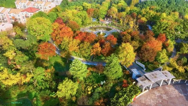 落叶、麦田、银杏……快来收藏这份秋日漫步地图