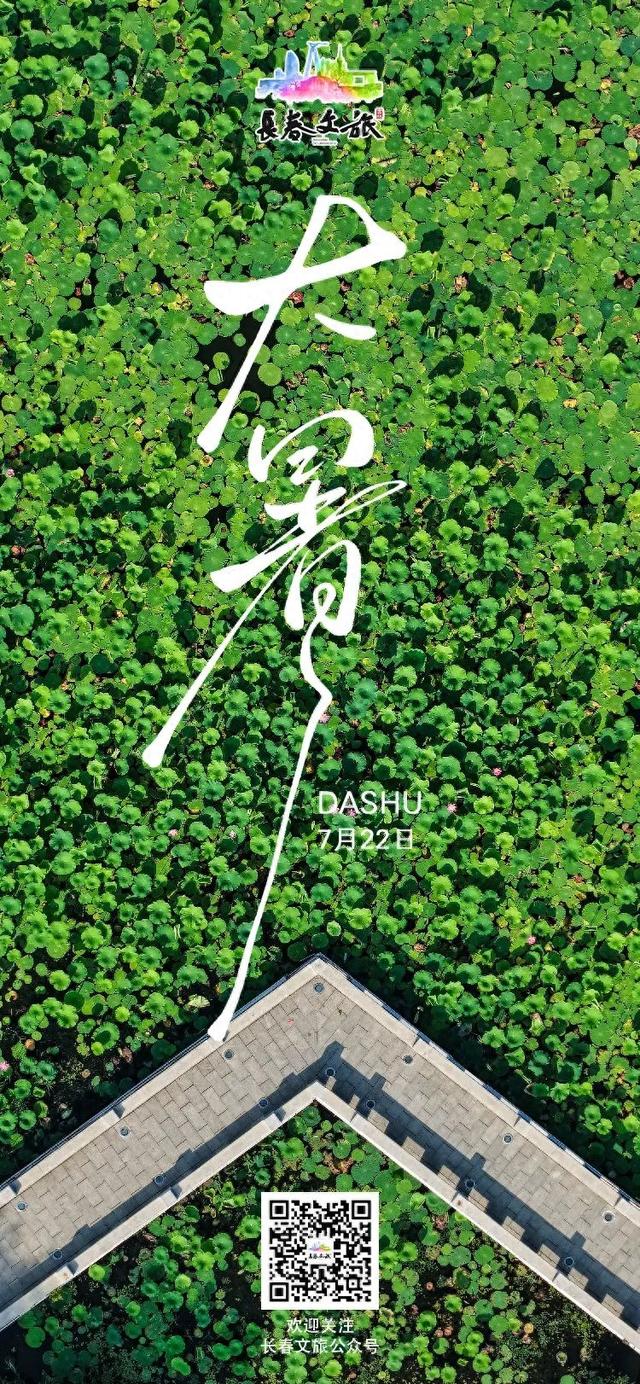“荷” 处寻清凉？这里花 “漾” 正当时→