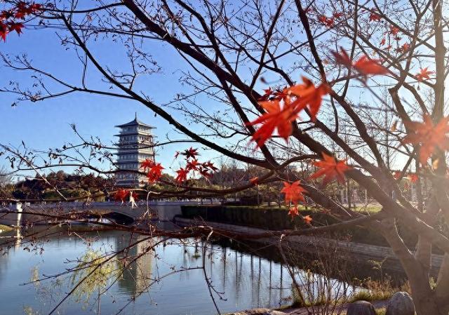 西安：冬日暖阳长安塔下好风光