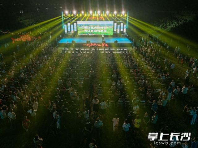 逛国风打卡区、听荷塘民谣、DIY渔灯！乔口这场乡村音乐会让游客玩嗨了