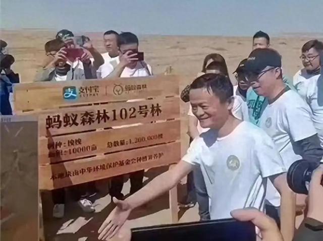 阿里已今非昔比，马云除了低调还能做什么？