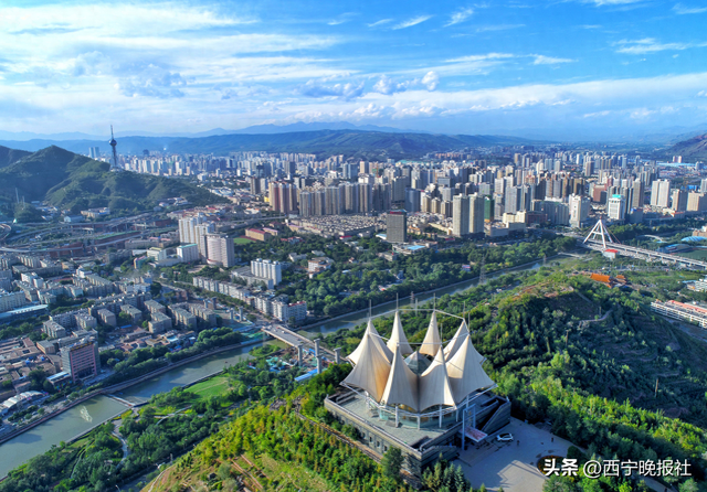 《生命树》后，西宁如何接住这波流量？