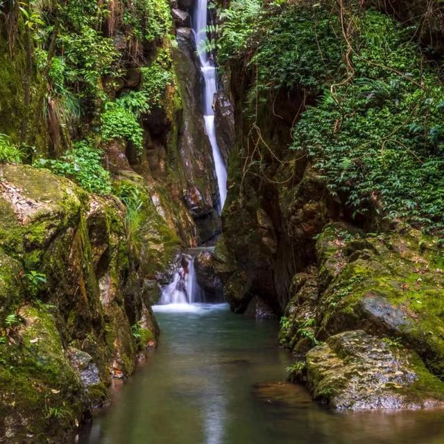 秋冬遛娃“药”新鲜!能吃能玩还能“养”,这条游玩路线一站式拿捏