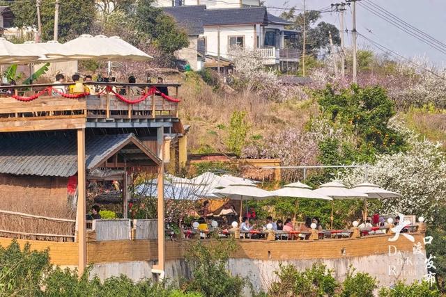 大渡口的春天也太“香”了！