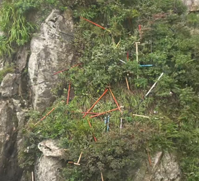 登山杖成“环境负担”，文明旅游不能止于提醒