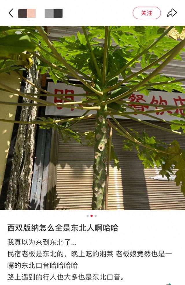 这可能是我买过的最离谱的特产: