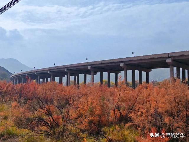 秋日从恐龙地址公园，沿铁路，伴着黄河，徒步至太极岛