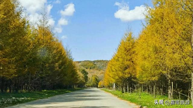 探秘哈尔滨吊水壶国家森林公园:北国秘境中的四季风华