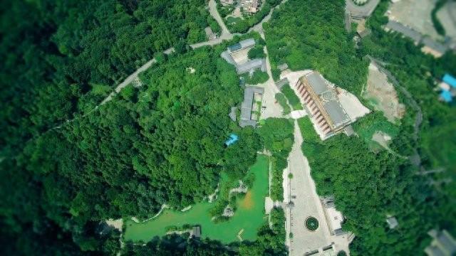 罗平“清凉经济”火爆！避暑游客激增，酒店业迎“热”升级