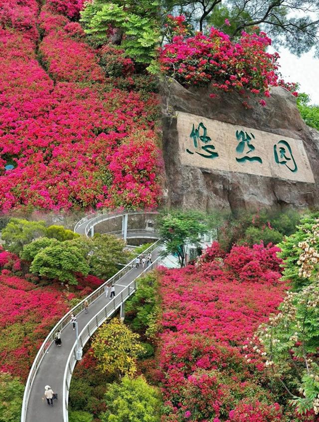 厦门山海健康步道悠然园段，这是网红螺旋坡道，周末漫步的好去处