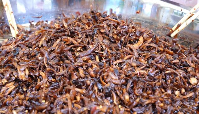 牛肝菌冰淇淋、松露啤酒……解锁菌子暴走地图，昆明这条野生菌主题街巨好玩！