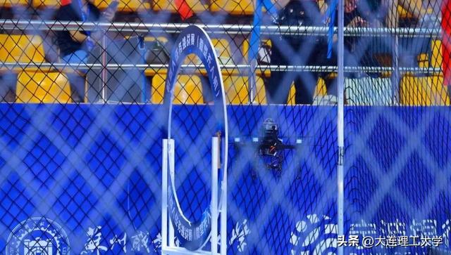 绝对优势！大工实现全国“两连冠”！