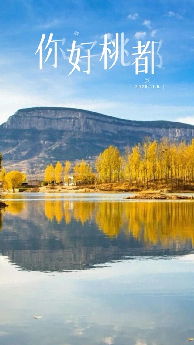 你好，桃都！『2025.11.5』