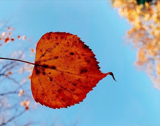 人一过60，永远不要在熟人面前，说以下几句话，谁说谁后悔，切记