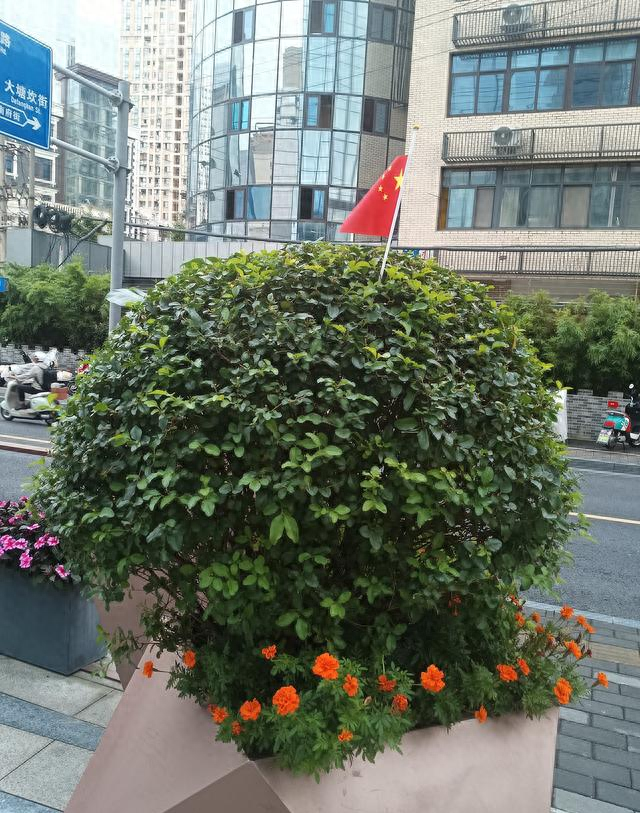 健康生活篇：腰突缓解后，坚持骑车，一年后奇迹发生了！