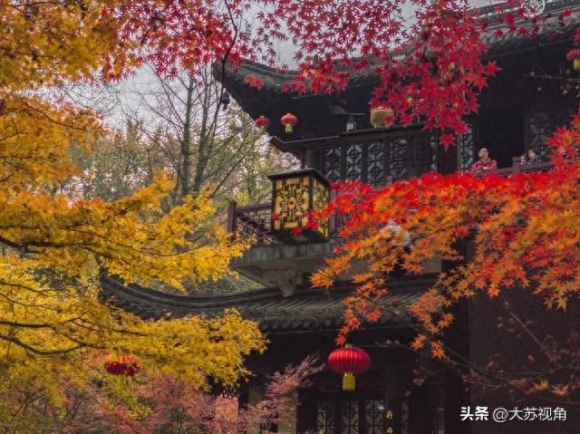 南京栖霞山红叶进入最佳观赏期！多条避峰路线，错过等一年