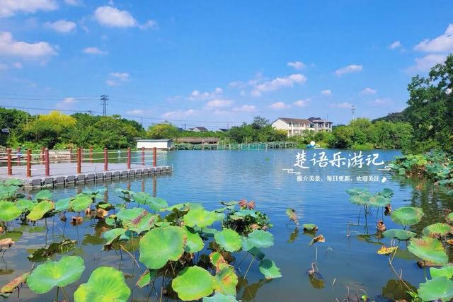 绍兴上虞白马湖畔的打卡胜地，人文气息藏于湖光山色，景美但人少