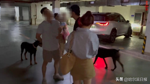江苏一小区两只杜宾犬没拴绳引激烈争执，物业回应：狗主人特地买礼物登门道歉，双方已协商处理完毕