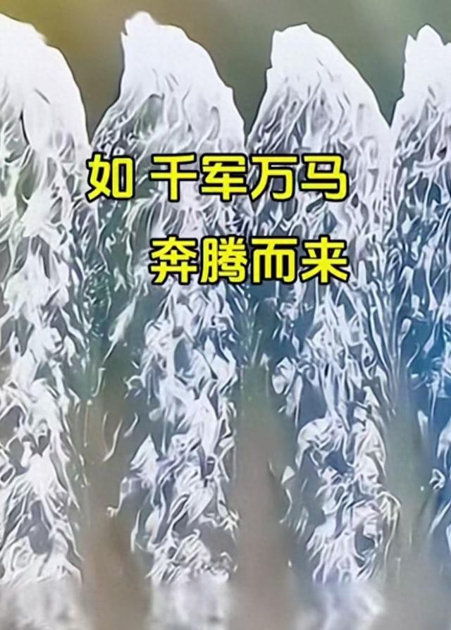 观钱塘江大潮