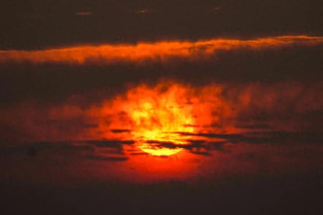 “暴力黄”全开！汨罗江雾、水垅村银杏……惊艳登场