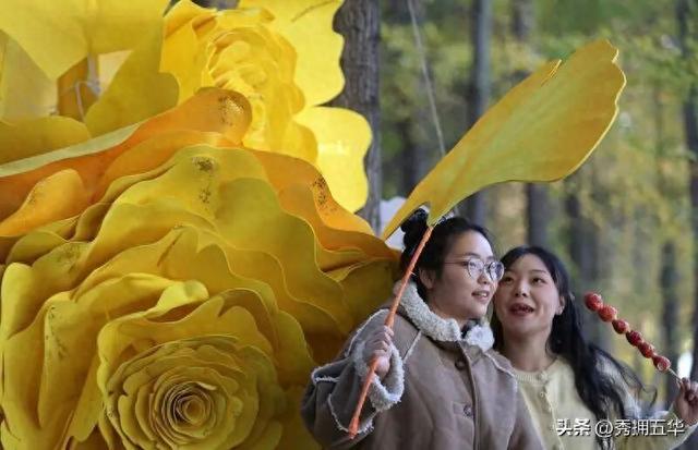 去版筑翠园，在“无尽梦银杏节”中打卡冬日休闲金色盛宴