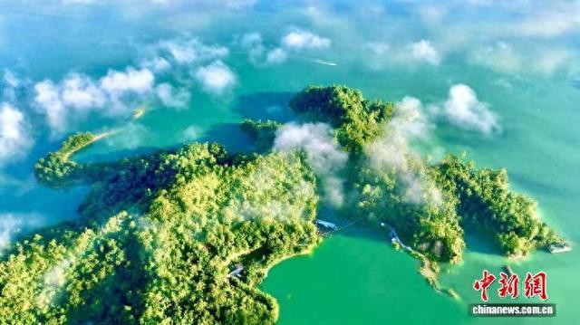 探访广东万绿湖国家湿地公园：绘就生态绿美新画卷