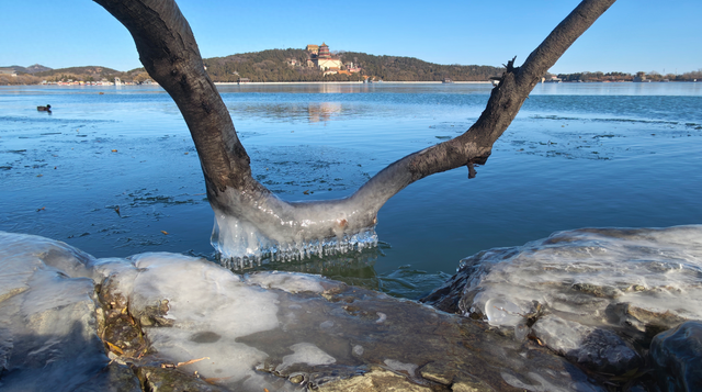 冬日颐和园：昆明湖冰裹树枝，宛如水晶雕塑