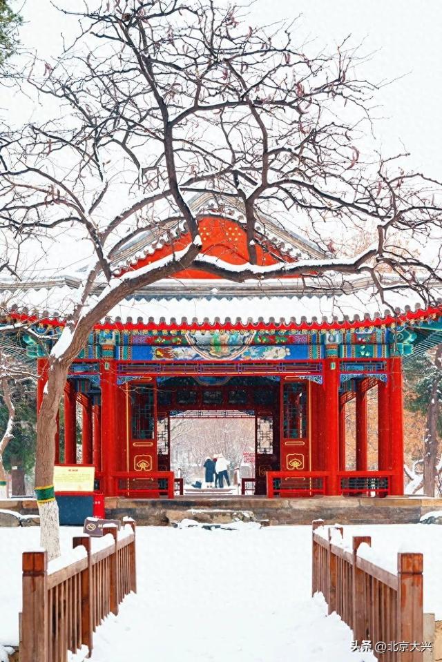 北京等雪来！故宫约不上？大兴团河行宫遗址公园藏着一样美的皇家雪景