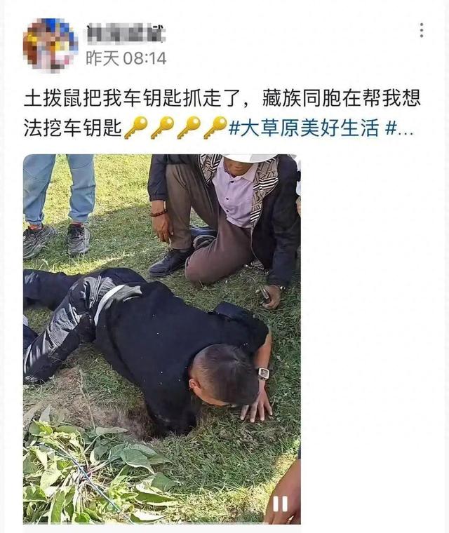 车钥匙被土拨鼠“偷走”，当事人回应：投喂时疏忽大意，花了三个多小时用强力磁铁吸回