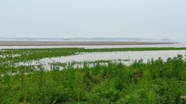 从秦岭到上海：一滴水的圆梦之旅