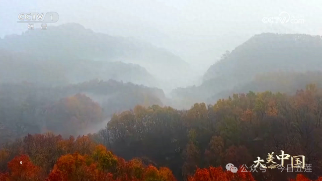 五莲上央视了！