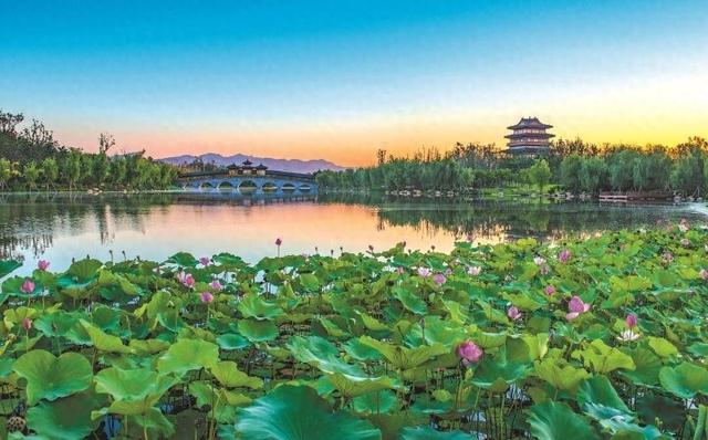荷塘夏韵水乡情