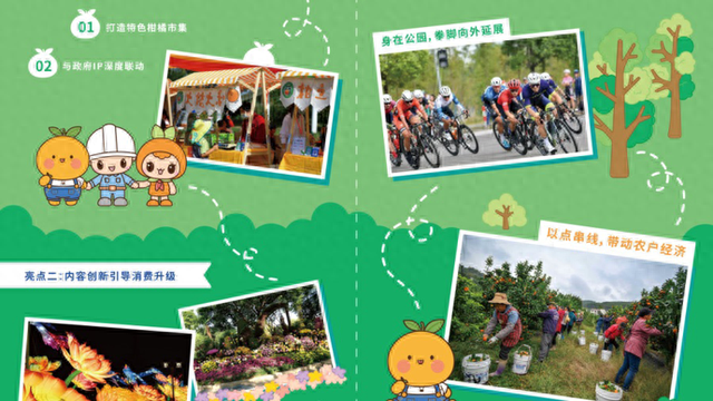 长兴岛“橘夜星河”9月26日启幕，观菊海、采柑橘、打铁花，夜夜精彩