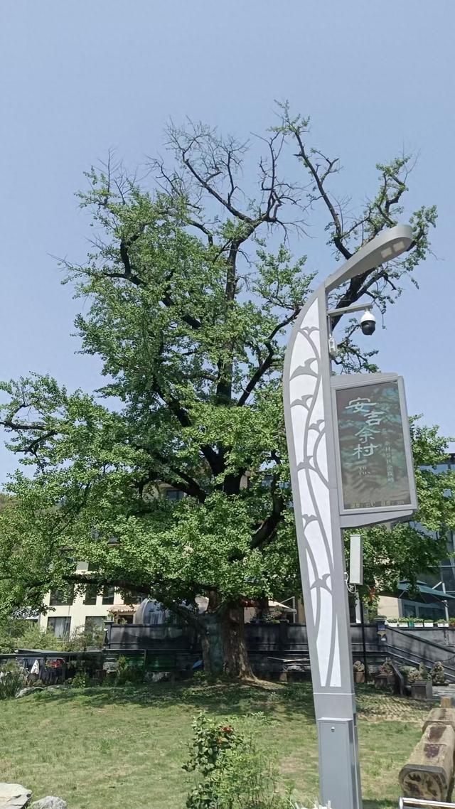 「散文」到湖州去看东坡(庞良君)