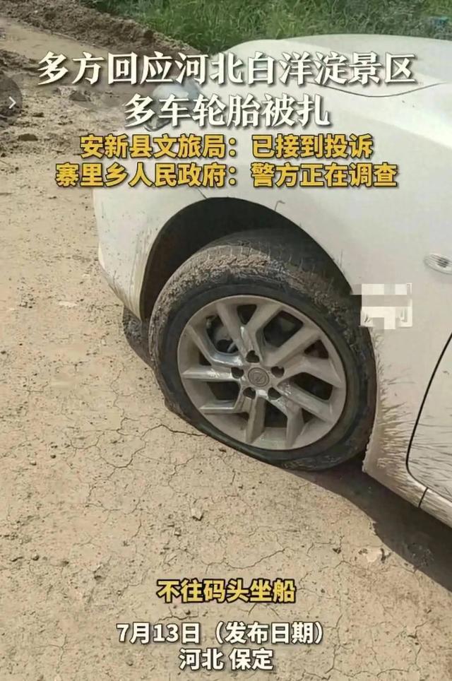 呵呵,"不扎胎"成为白洋淀旅游业的庄严承诺